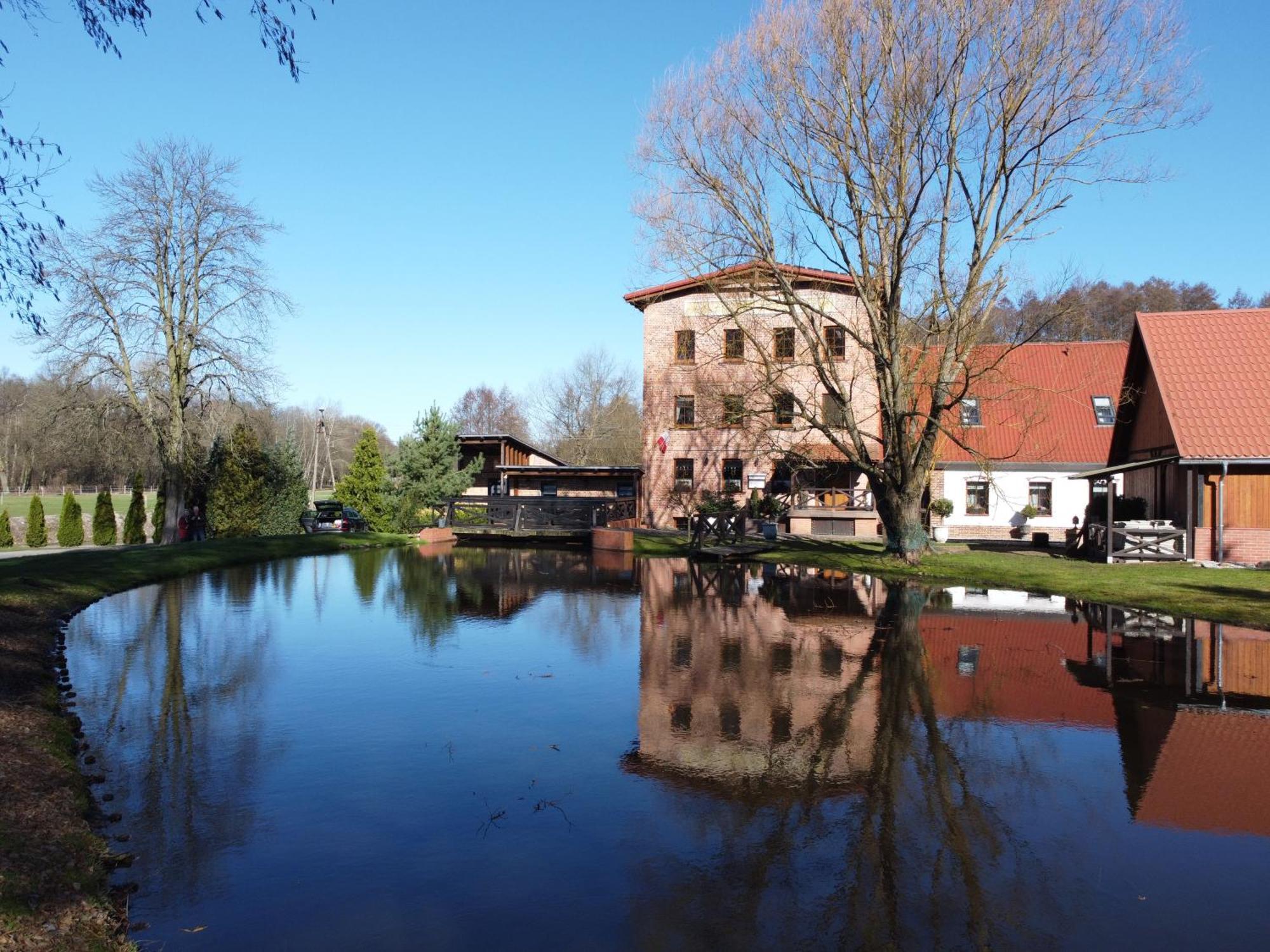 Stary Mlyn W Brzeznicy Villa Brzeznica  Dış mekan fotoğraf