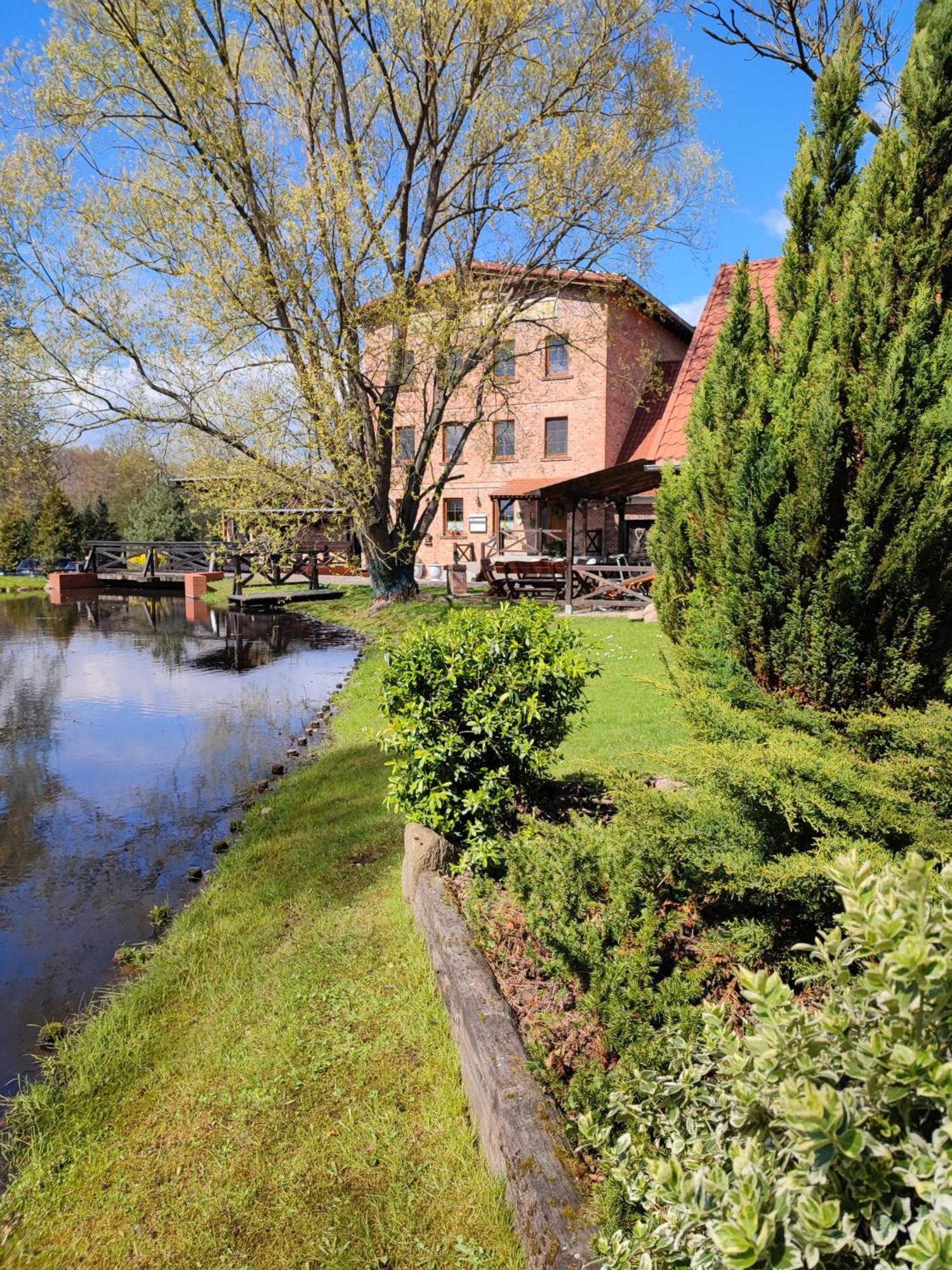 Stary Mlyn W Brzeznicy Villa Brzeznica  Dış mekan fotoğraf